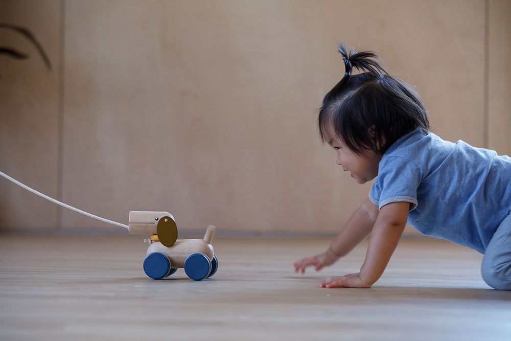 5724 PUSH & PULL PUPPY
