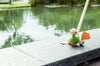 PUSH ALONG DUCK