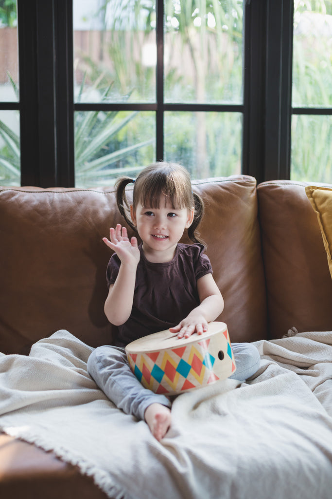 6423 RHYTHM BOX Plan Toys México