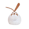 PETS & ACCESSORIES