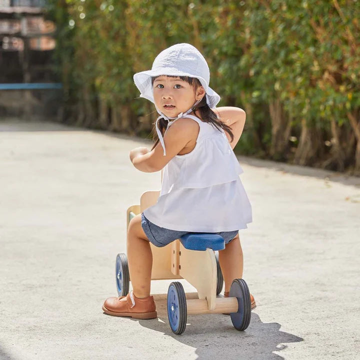 DELIVERY BIKE-ORCHARD