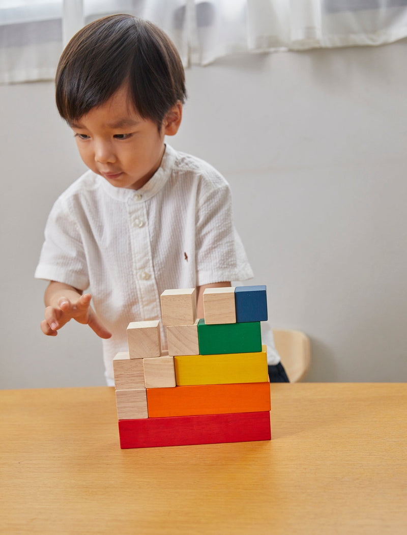 COLORED COUNTING BLOCKS