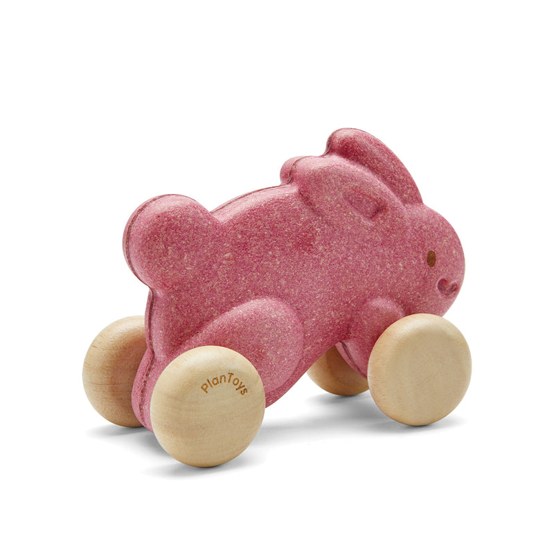 PUSH ALONG BUNNY