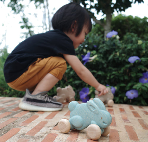PUSH ALONG BUNNY