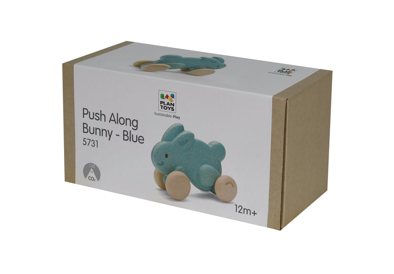 PUSH ALONG BUNNY