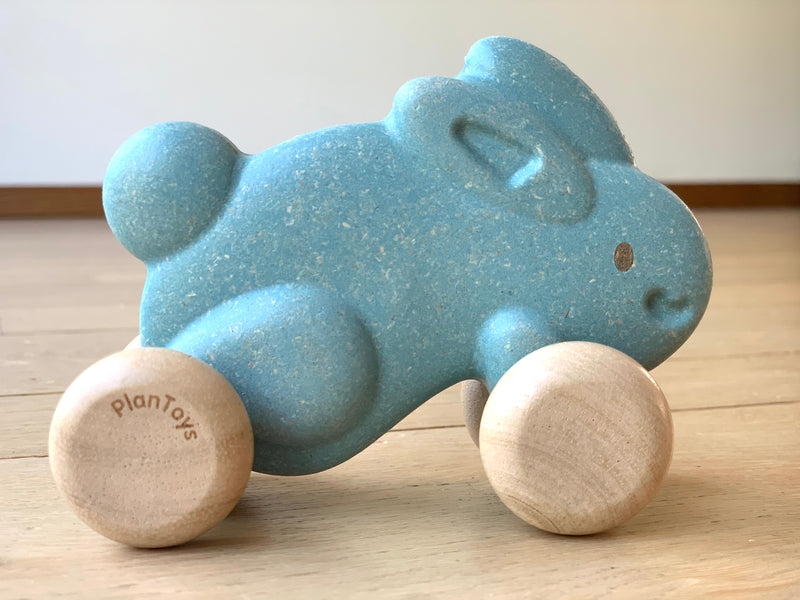 PUSH ALONG BUNNY