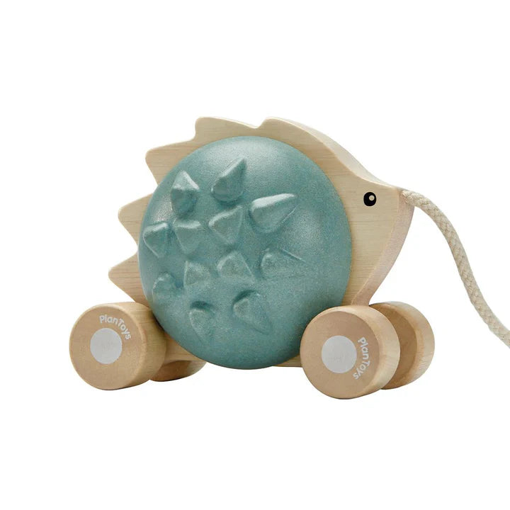 PULL ALONG HEDGEHOG BLUE