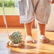 PULL ALONG HEDGEHOG BLUE