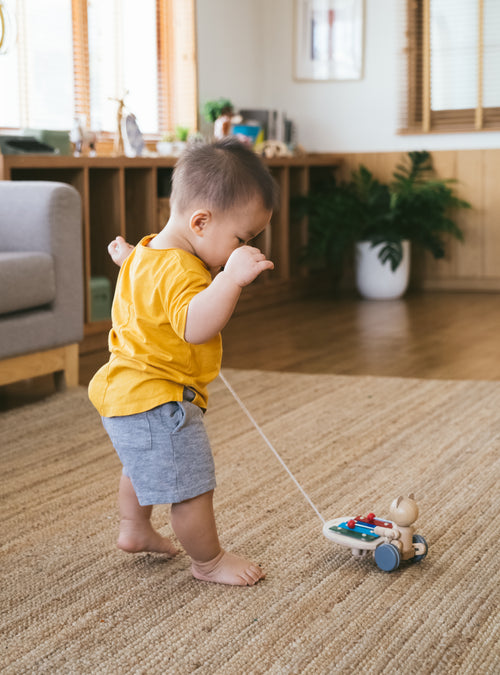 PULL ALONG MUSICAL BEAR