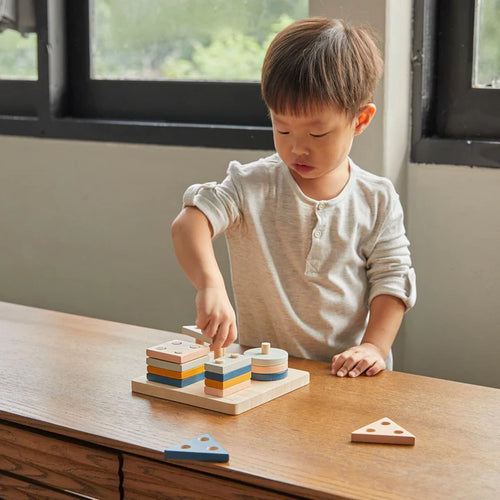 GEOMETRIC SORTING BOARD
