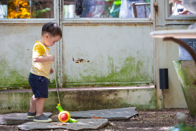PULL ALONG SNAIL