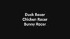 DUCK RACER