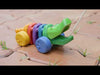 RAINBOW ALLIGATOR