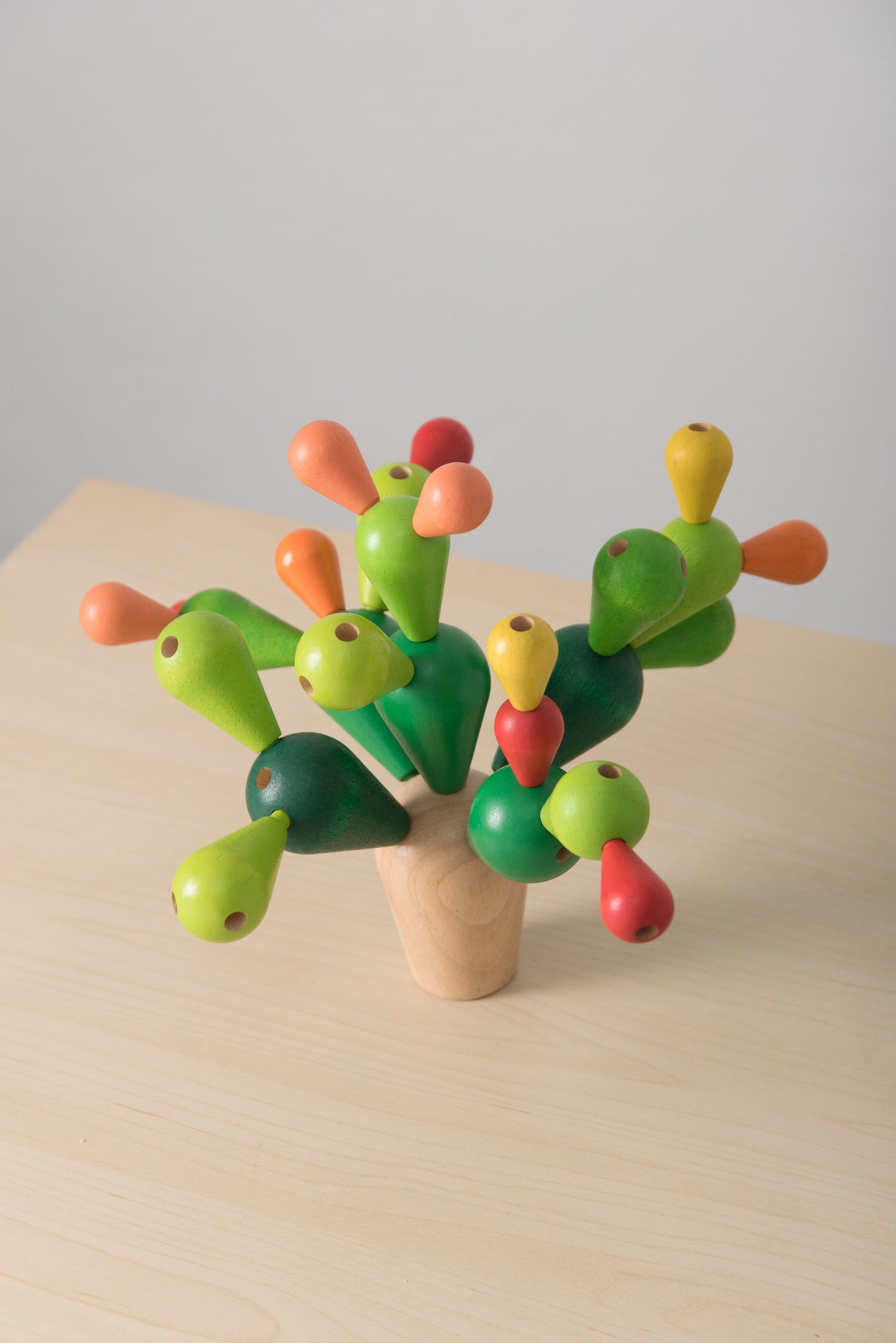 4101 BALANCING CACTUS