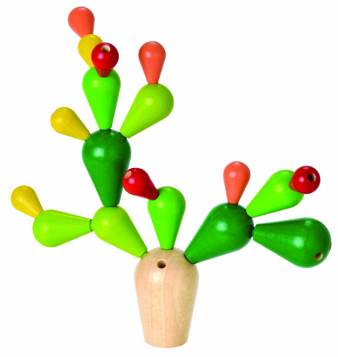 BALANCING CACTUS