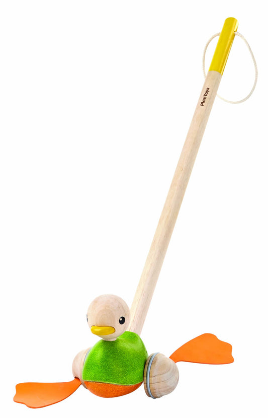 PUSH ALONG DUCK