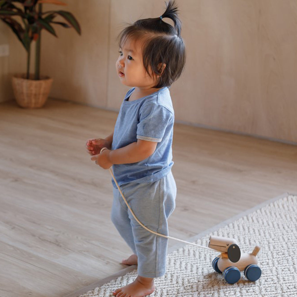 5724 PUSH & PULL PUPPY Plan Toys México